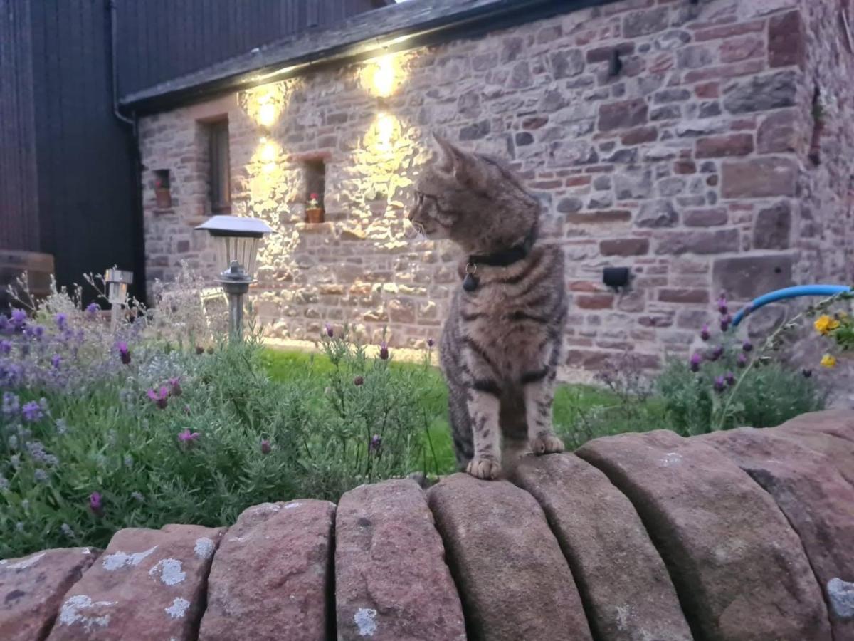 Old Brewery Barn, Ullswater, District Holiday home *